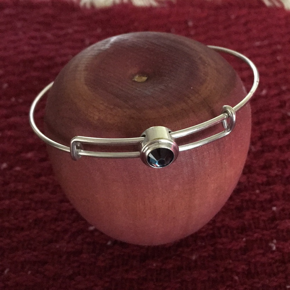 Alex and Ani Slider Bangle Bracelet